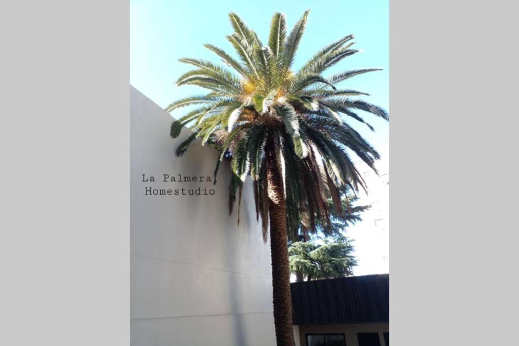 La Palmera Homestudio. Hermoso Apartamento En El Corazon De Palermo Hollywood Buenos Aires Exterior foto